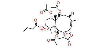 Briaviolide L